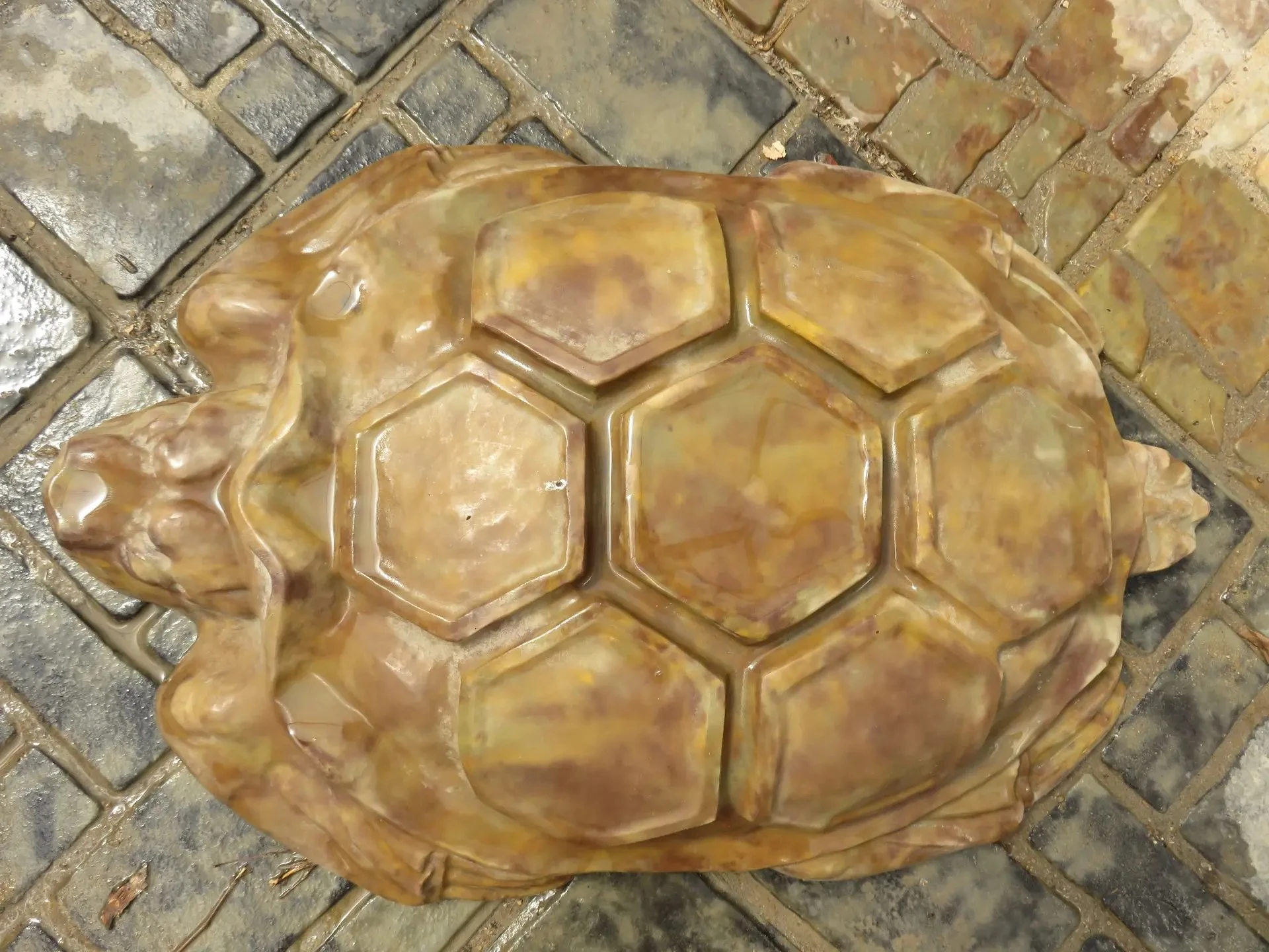 Черепаха 500x300x80